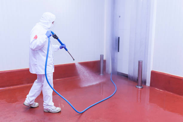 Reliable Lake Nacimiento, CA Pressure Washing Services Solutions