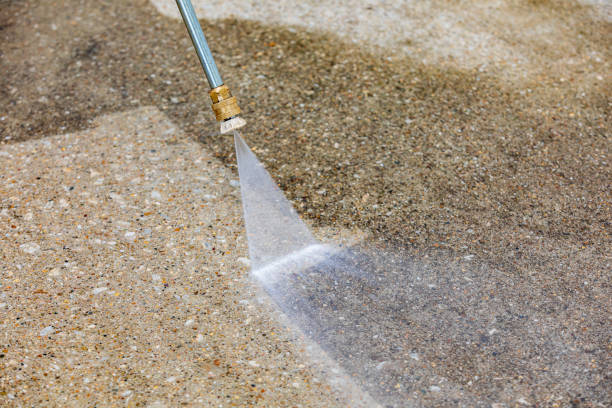 Best Driveway Pressure Washing  in Lake Nacimiento, CA